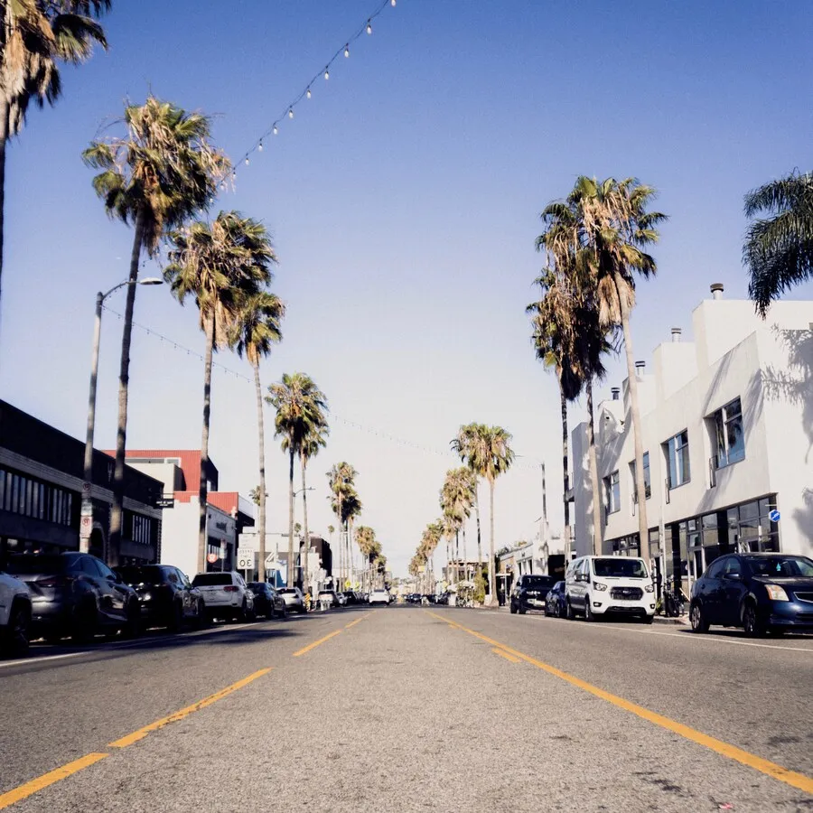 Abbot Kinney Boulevard in Venice — the palm-lined street where Blockprint takes place